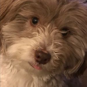 Meet your Posher, Colleen